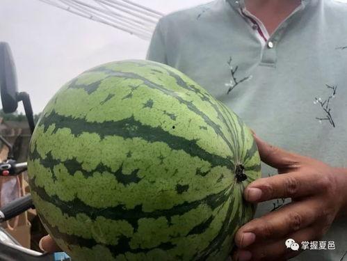 吃瓜现场第一位网红是谁,揭秘第一位网红的诞生之谜 第1张 吃瓜现场第一位网红是谁,揭秘第一位网红的诞生之谜 第1张