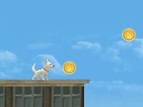 冰狗任务在线观看,在线观看，揭秘极地冒险之旅  第2张