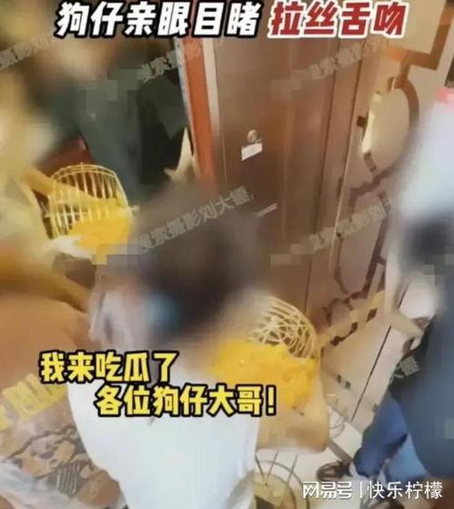 张小寒今日爆料视频大全,揭秘娱乐圈幕后真相  第1张
